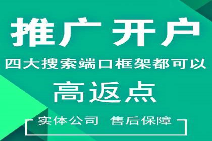 百度竞价赚钱的技巧与成功案例探讨